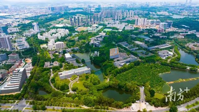 东莞理工学院。 图片