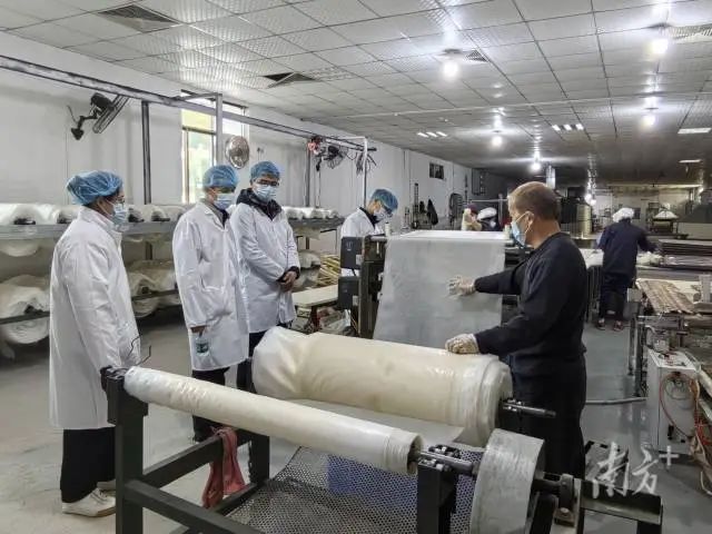暨大团队到始兴宰相粉生产厂调研。 图片