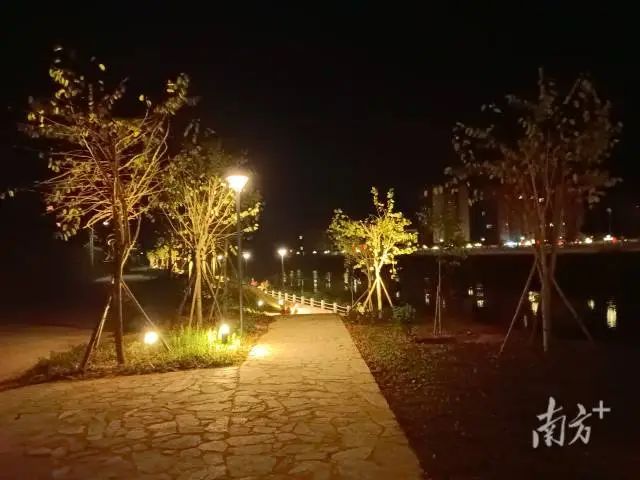 八甲镇白水河示范段实景。 图片