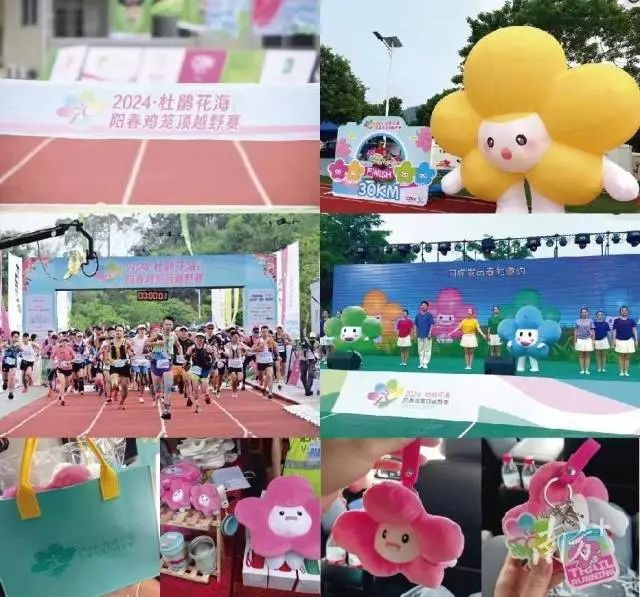 “2024·杜鹃花海”阳春鸡笼顶越野赛视觉设计、IP吉祥物及周边产品图。 图片
