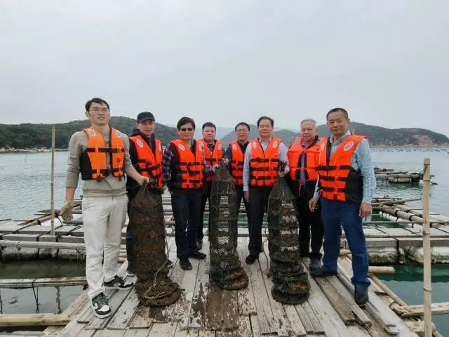 汕头大学郑怀平团队开展贝类遗传育种研究工作 图片