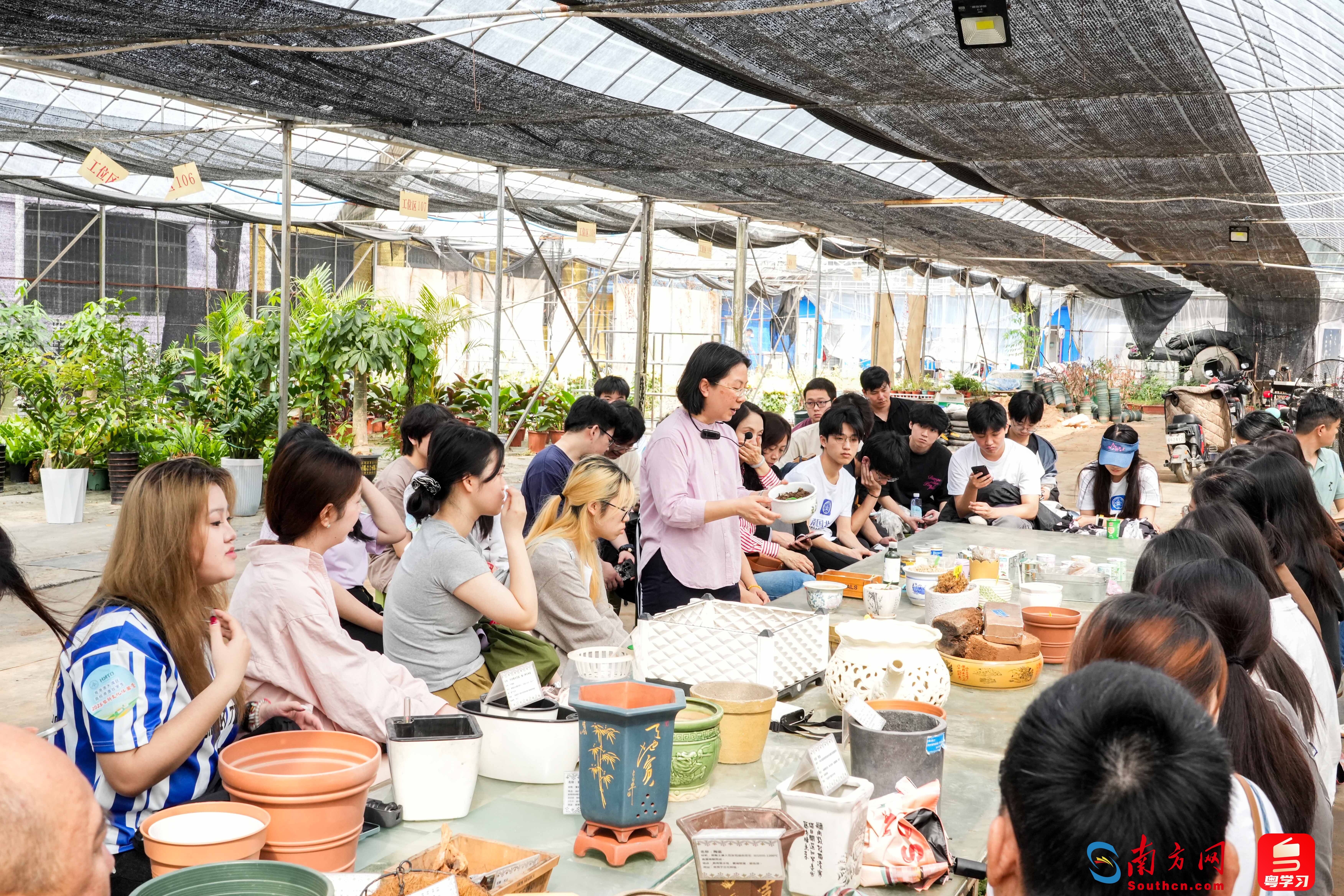 观赏植物栽培课程体验。